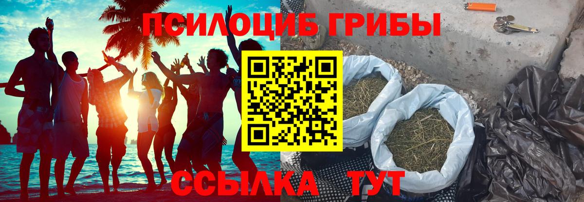 Псилоцибиновые грибы Psilocybine cubensis  Вход с VPN  Дедовск 